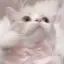🐰のプロフィール画像