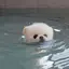ゆんのプロフィール画像