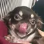 ここのプロフィール画像
