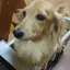 maiのプロフィール画像