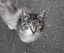 Rのプロフィール画像