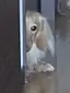 なうのプロフィール画像