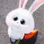 ルナのプロフィール画像