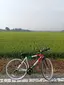 綾華のプロフィール画像