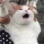 ちいのプロフィール画像