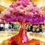 cocosakuraのプロフィール画像
