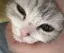 悠加のプロフィール画像