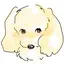 にとちゃんのプロフィール画像
