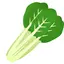 🥬のプロフィール画像