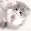 コトノのプロフィール画像
