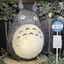 早希のプロフィール画像