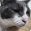 美香のプロフィール画像