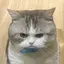 hのプロフィール画像