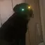 りなのプロフィール画像