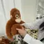 kiraのプロフィール画像