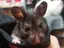 ejumiのプロフィール画像
