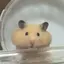 とものプロフィール画像