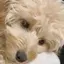 相澤のプロフィール画像