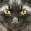 Miのプロフィール画像