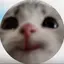 アユミのプロフィール画像