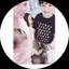 めりにたのプロフィール画像