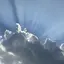Sのプロフィール画像