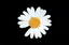未穂のプロフィール画像