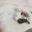 ☺︎のプロフィール画像