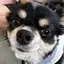 しめちゃんのプロフィール画像