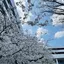えりのプロフィール画像