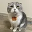 とものプロフィール画像