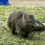 けーのプロフィール画像