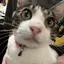 ゆのプロフィール画像