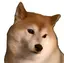 犬のプロフィール画像
