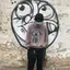かきぴーのプロフィール画像