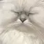 みずのプロフィール画像