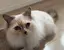 ﾉﾊﾗのプロフィール画像