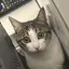 ゆっちゃん🐱のプロフィール画像