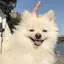 ゆいかのプロフィール画像