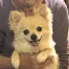 まりものプロフィール画像
