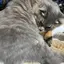 RITEAのプロフィール画像