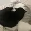 サクラのプロフィール画像