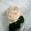 みなのプロフィール画像