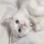 モエカのプロフィール画像