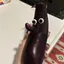 ぶんのプロフィール画像
