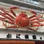 チハルのプロフィール画像