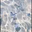 おとはのプロフィール画像