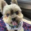akanのプロフィール画像