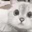cooのプロフィール画像