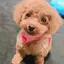 Sのプロフィール画像